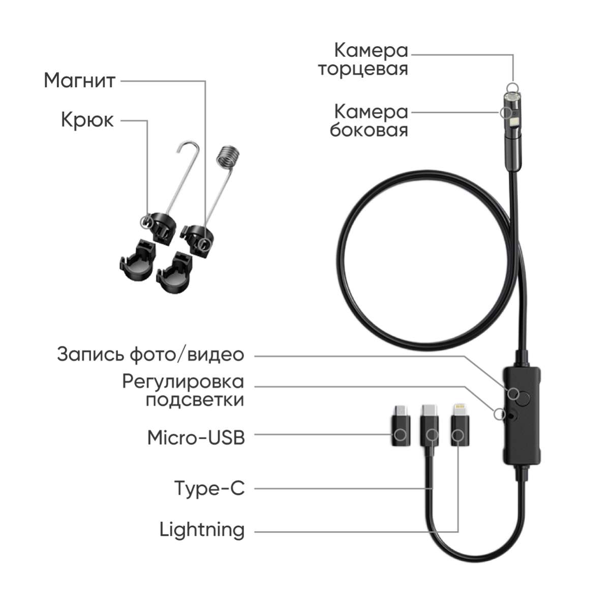 skhemaIC_V801_2.jpg