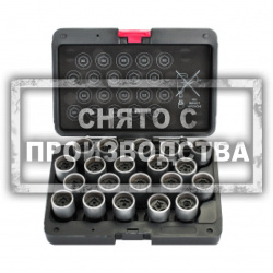 Набор торцевых головок для секретных болтов AUDI Car-Tool CT-F2288