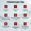 Импульсное зарядное устройство 12В с функцией восстановления iCartool IC-CH101